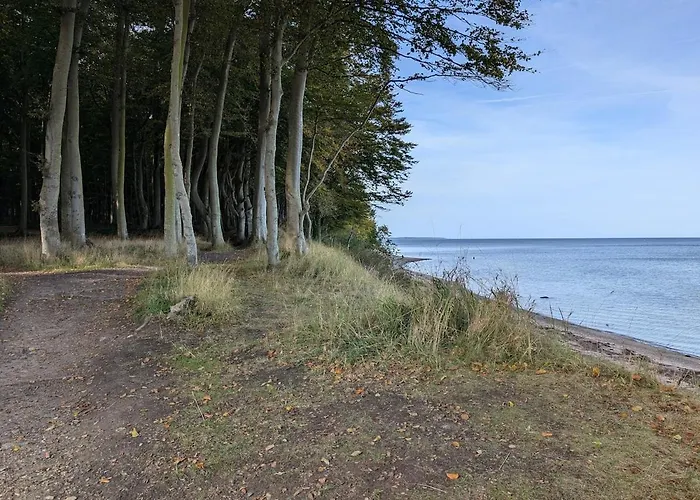 Rosengarten Mit Meerblick Blekendorf