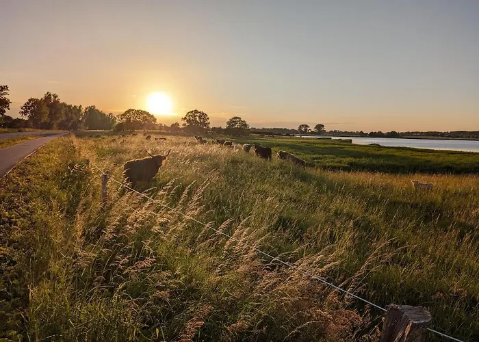 Lejlighed Rosengarten Mit Meerblick