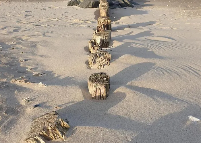 Rosengarten Mit Meerblick *